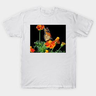 A Monarch's World T-Shirt